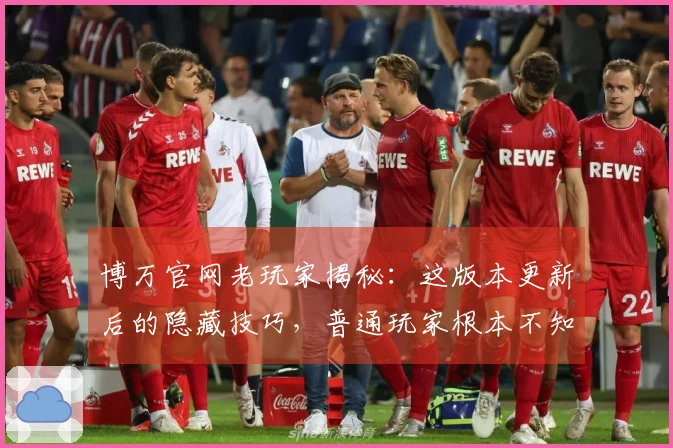 博万官网老玩家揭秘：这版本更新后的隐藏技巧，普通玩家根本不知道！