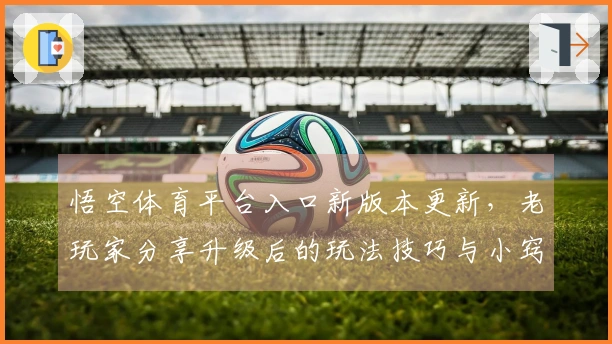 悟空体育平台入口新版本更新，老玩家分享升级后的玩法技巧与小窍门