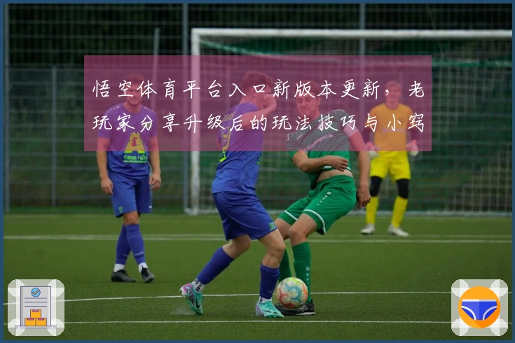 悟空体育平台入口新版本更新，老玩家分享升级后的玩法技巧与小窍门