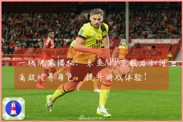 一线玩家揭秘：乐鱼APP下载后如何高效培养角色，提升游戏体验！